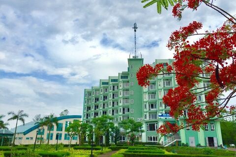 🌴 𝑪𝒂́𝒄 𝒉𝒊̀𝒏𝒉 𝒕𝒉𝒖̛́𝒄 𝒑𝒉𝒐̀𝒏𝒈 𝒐̛̉ 𝑬𝒖𝒓𝒆𝒌𝒂 𝑳𝒊𝒏𝒉 𝑻𝒓𝒖̛𝒐̛̀𝒏𝒈 𝑹𝒆𝒔𝒐𝒓𝒕